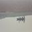 Sur le fleuve, Agra